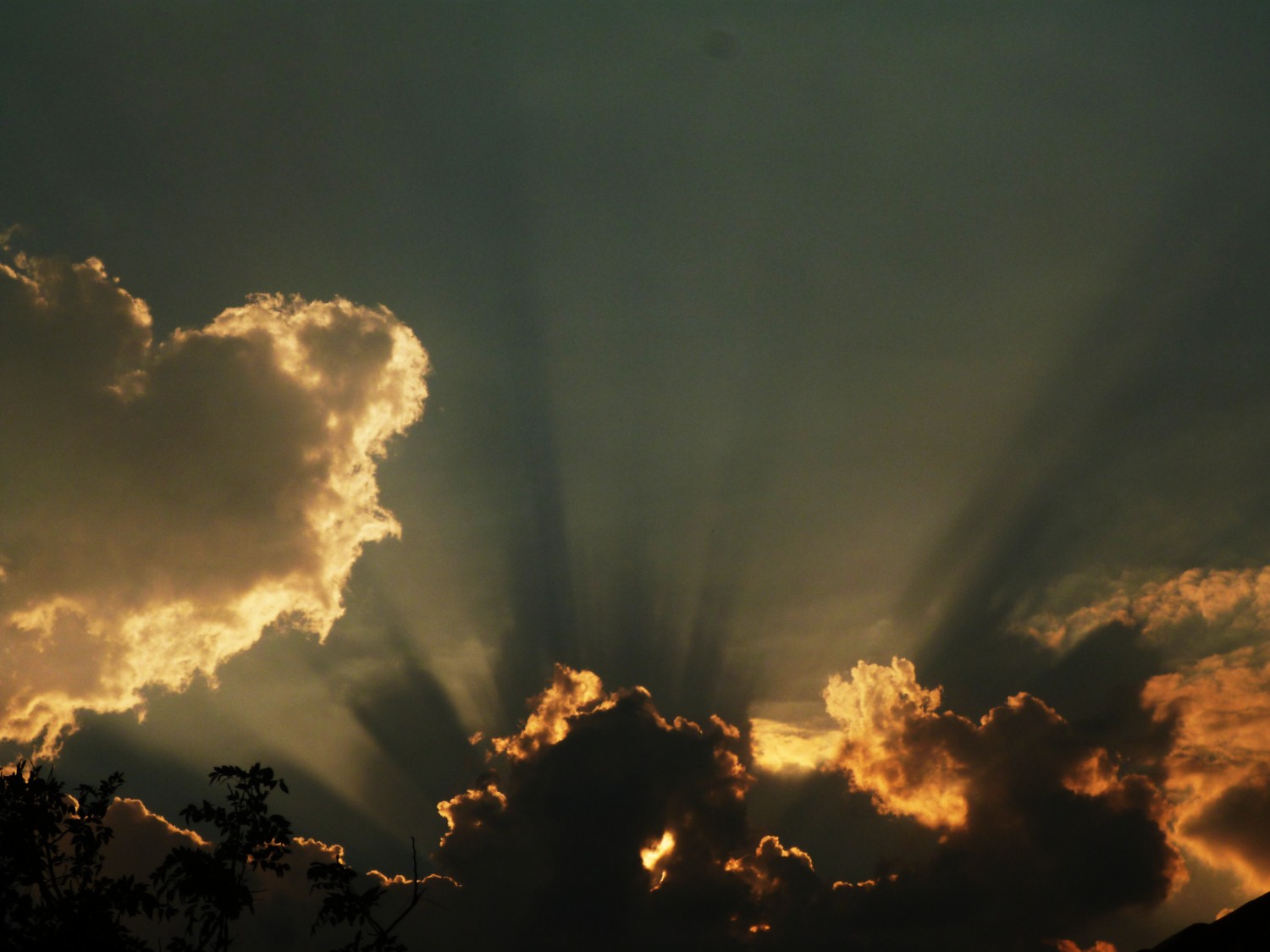 Atardecer 1.jpg