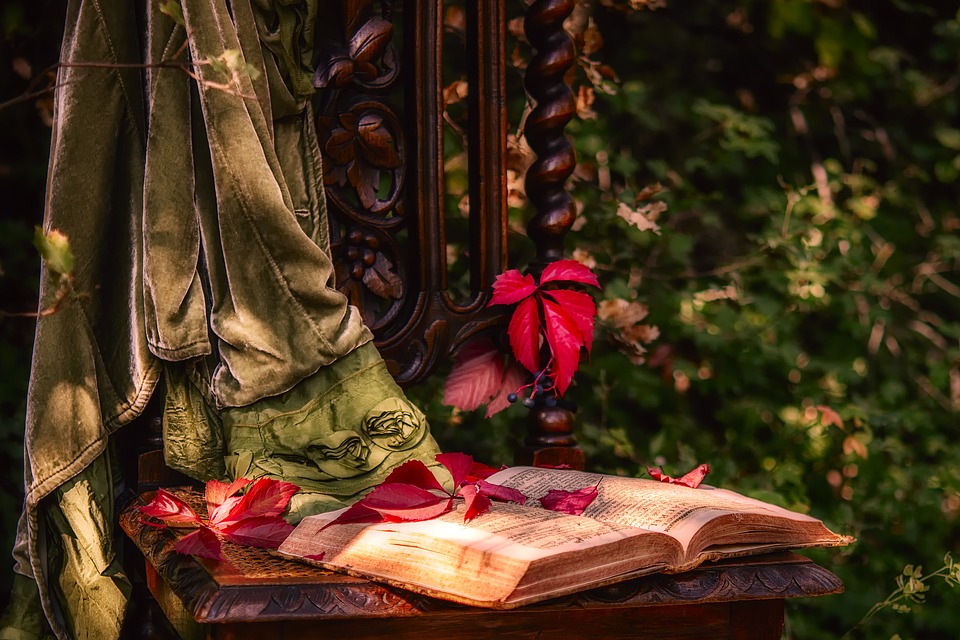 still-lifes-1701799_960_720.jpg