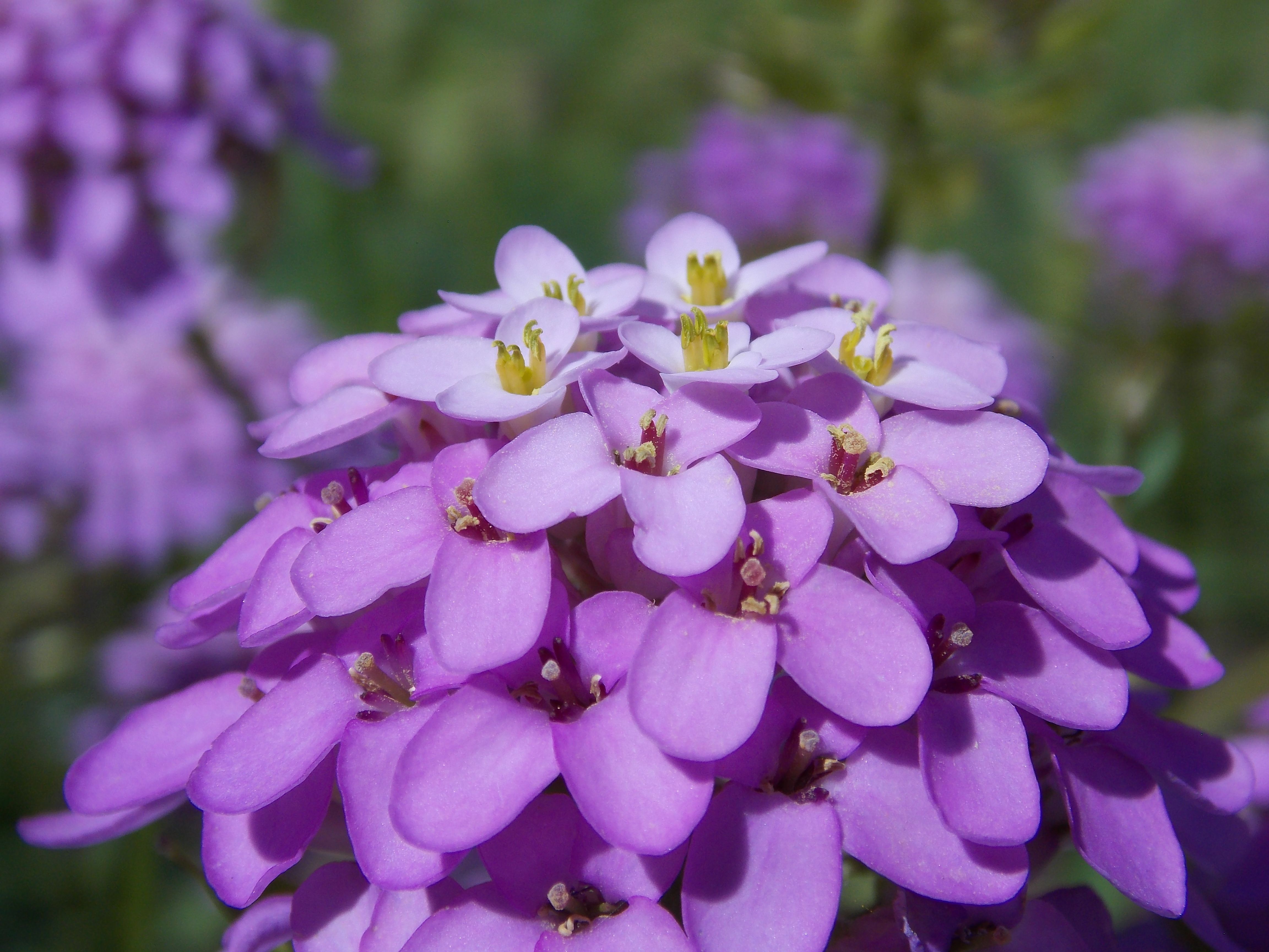 DSCN6558.JPG