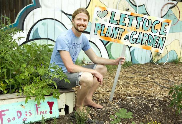 lettuce-plant-a-garden.jpg