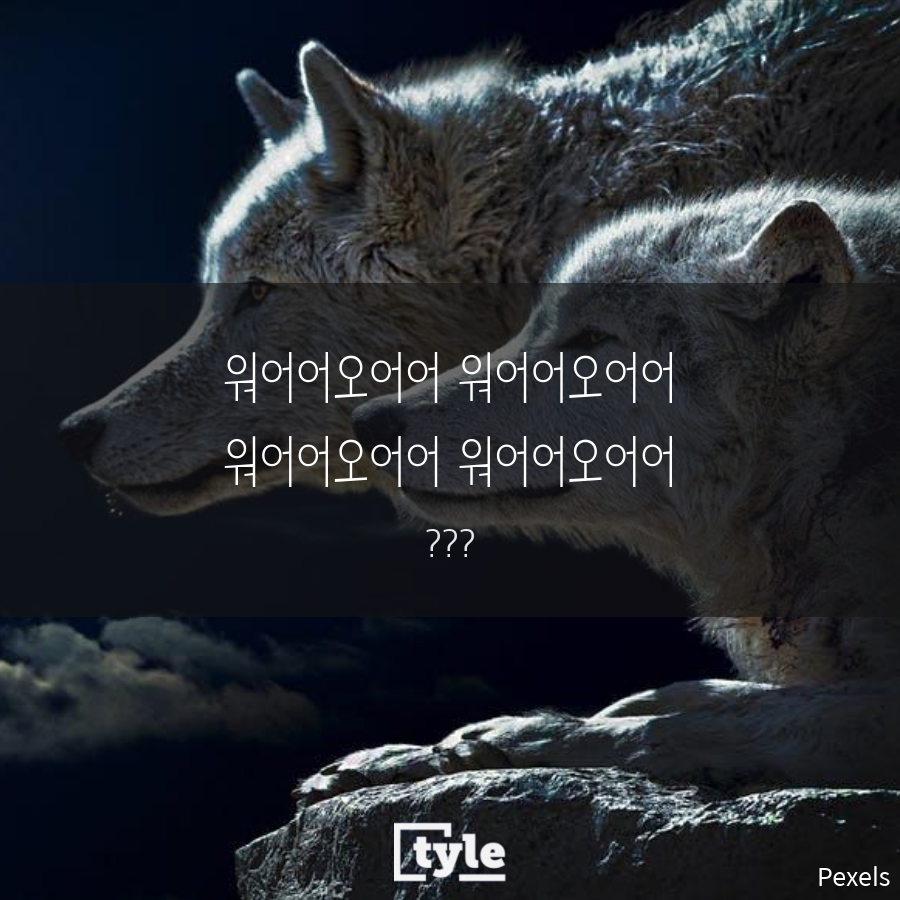 달차자 카드뉴스5.png