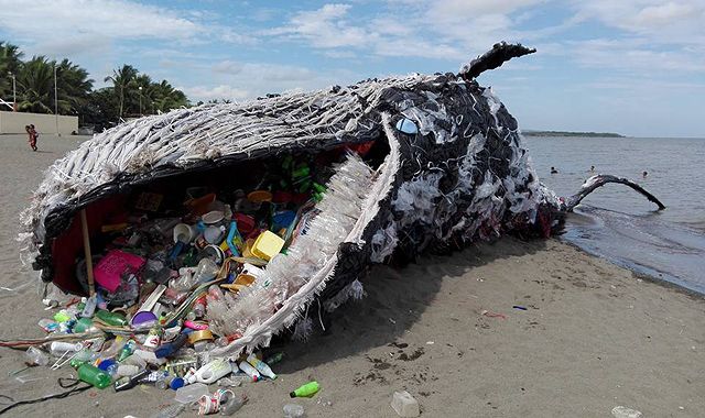 whale-installation-greenpeace1.jpg