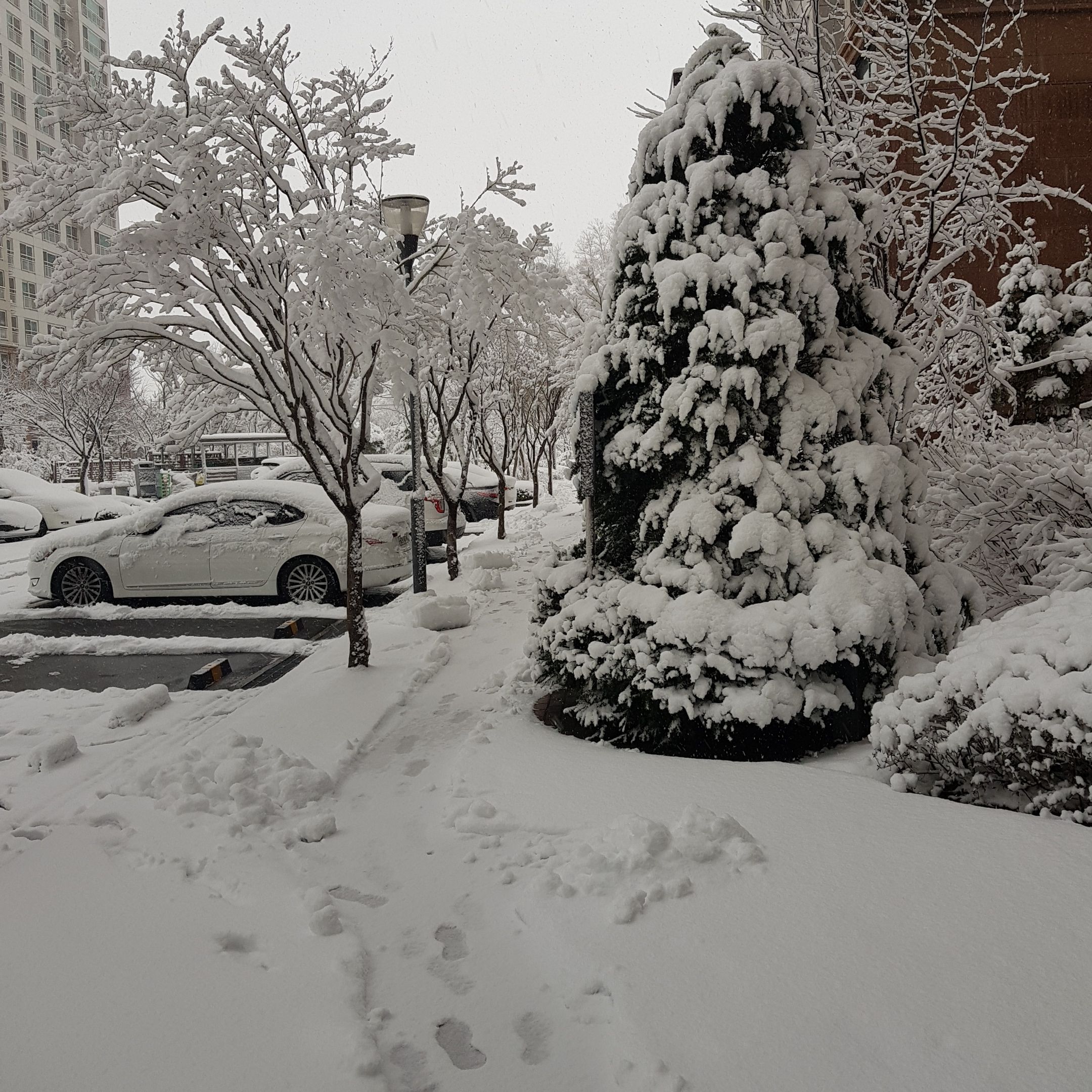 20180321_065216.jpg