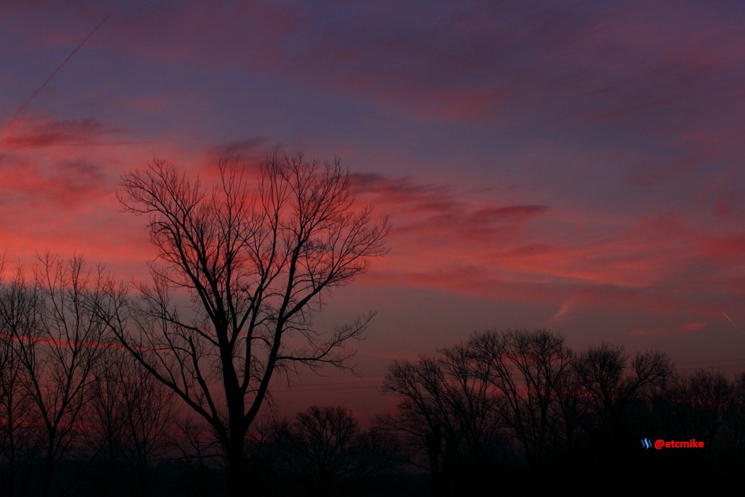 pink sunrise dawn SR15-08.JPG