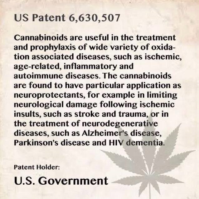 cannabis 4.jpg