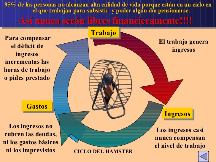 ciclo-del-hamster-5-728.jpg