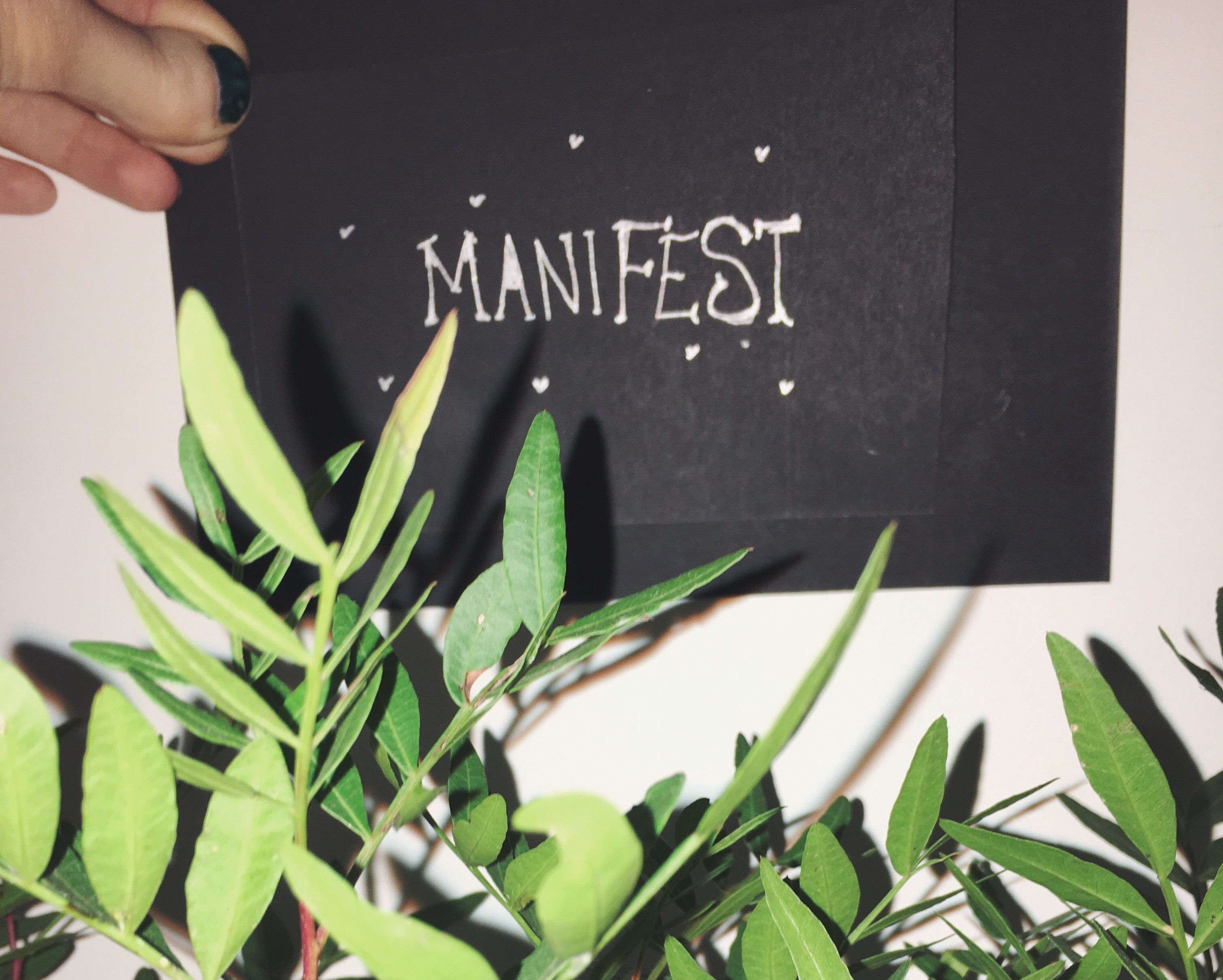 maneullemanfest.jpg