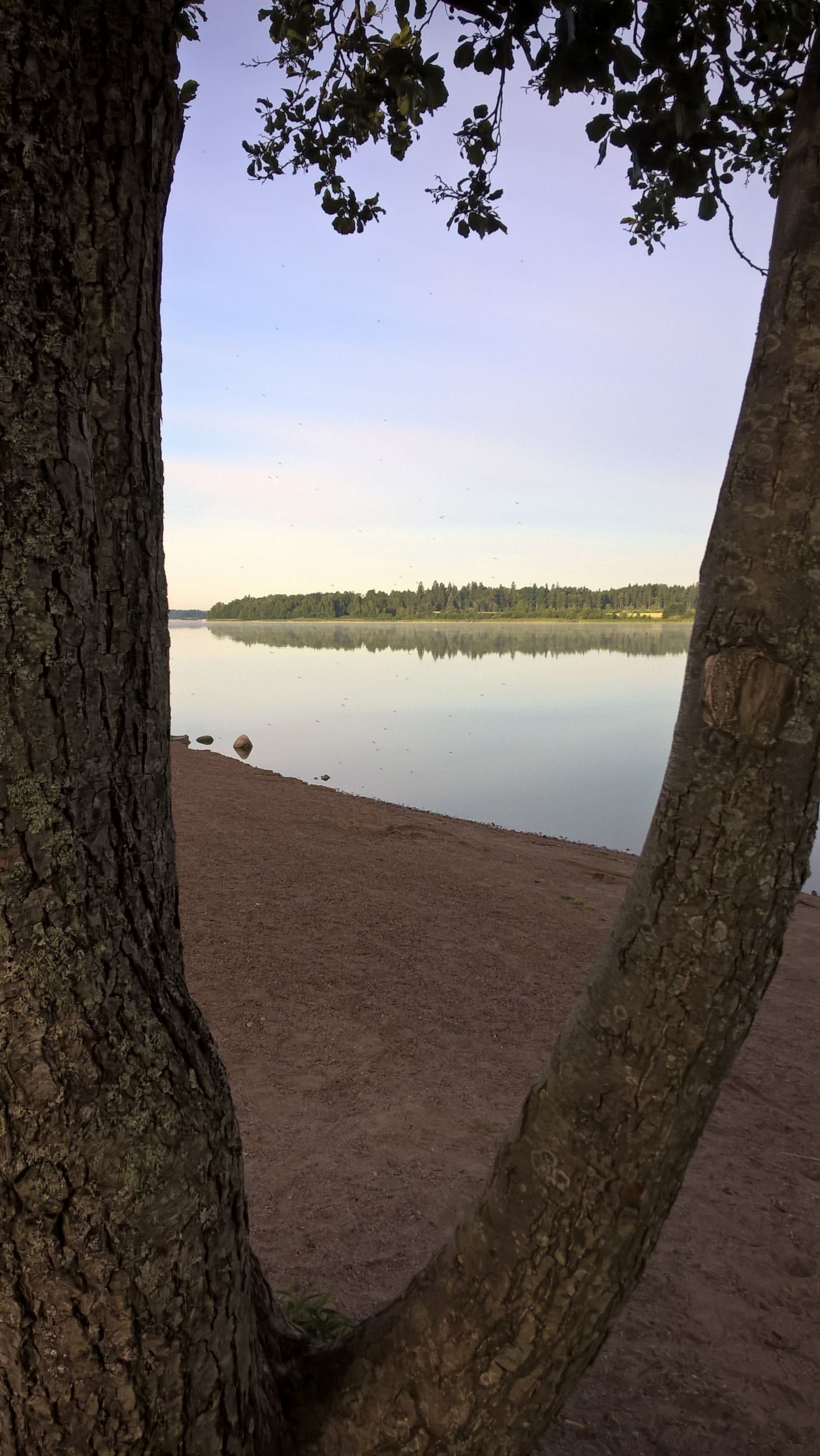 Morning from the lake.jpg