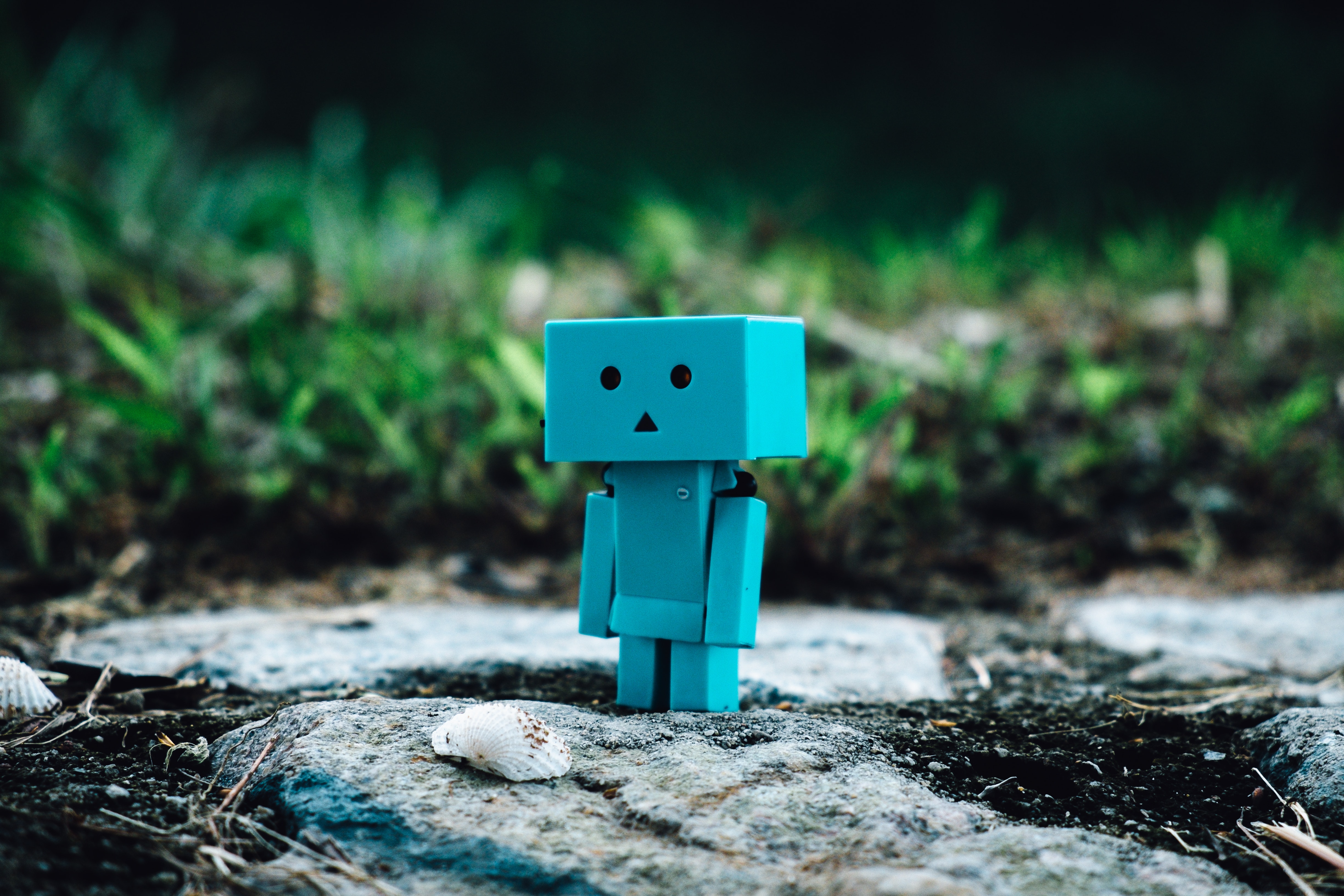 cute-danbo-macro-101764.jpg