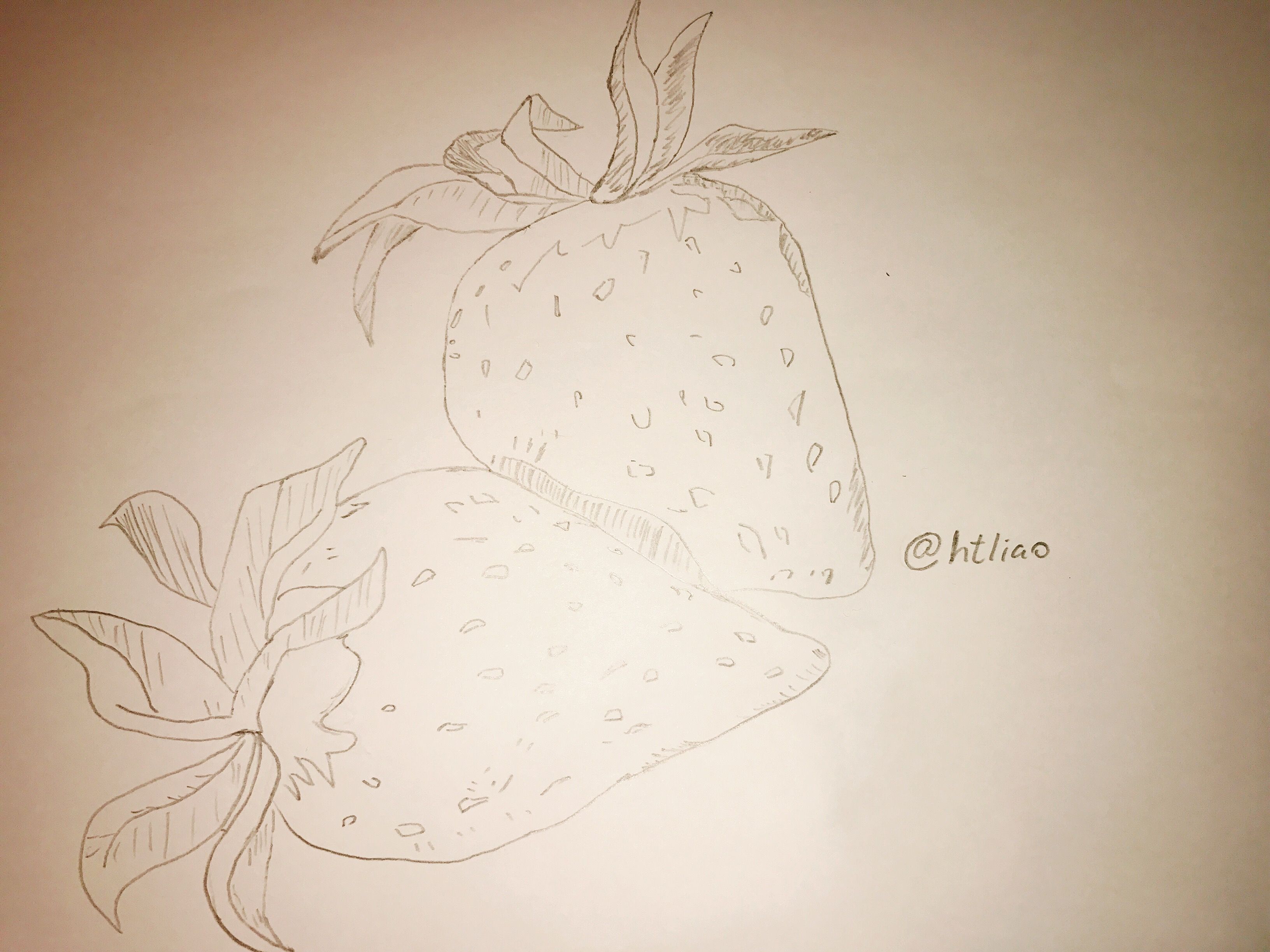 Drawing Challenge #3 Strawberries Pencil Sketch 草苺鉛筆素描