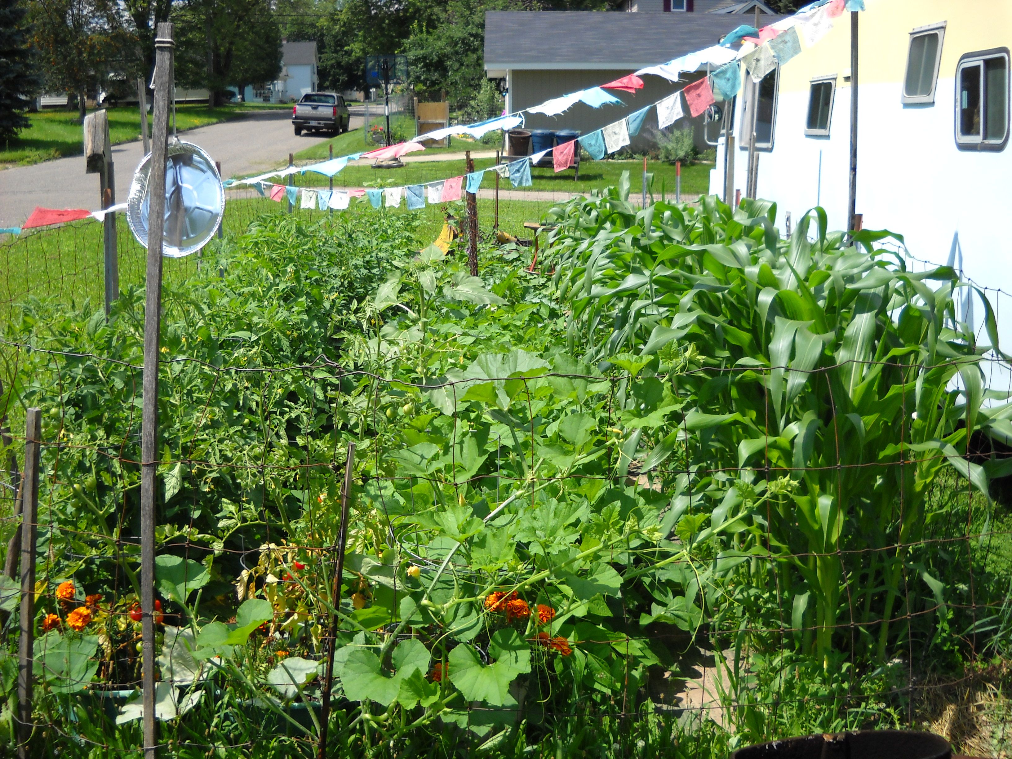 garden 7-26-10 003.jpg