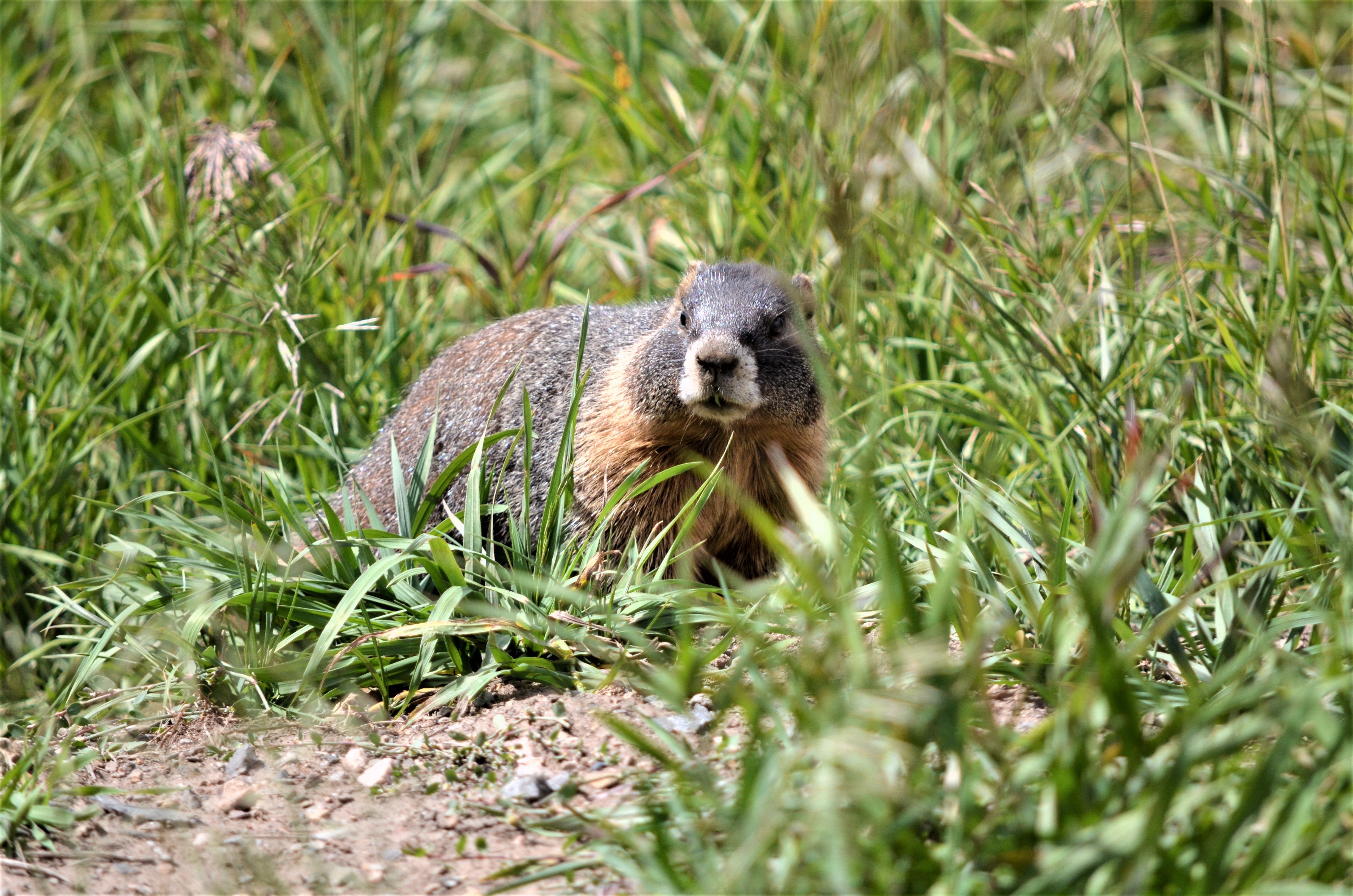 Beaver Creek 320-you talking to me.jpg