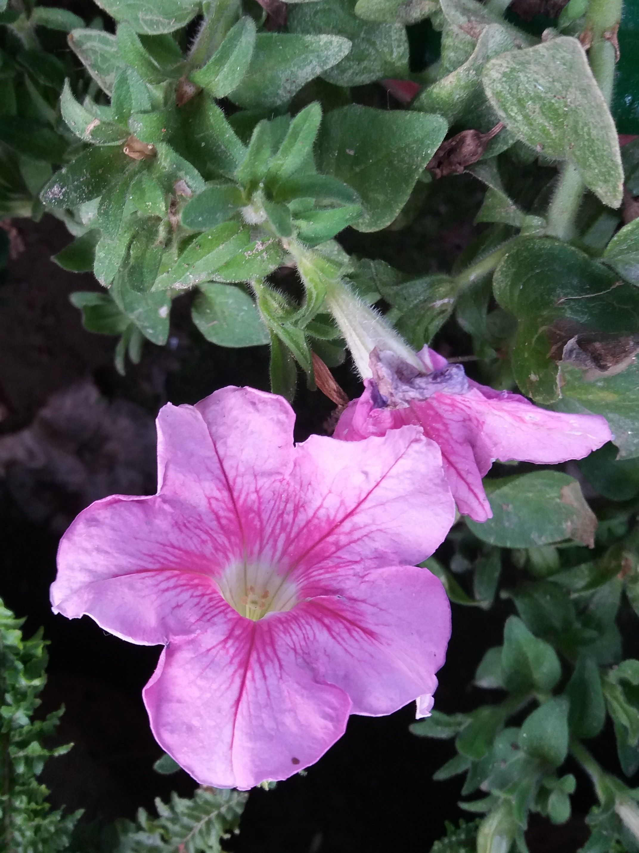 20180413_173705.jpg