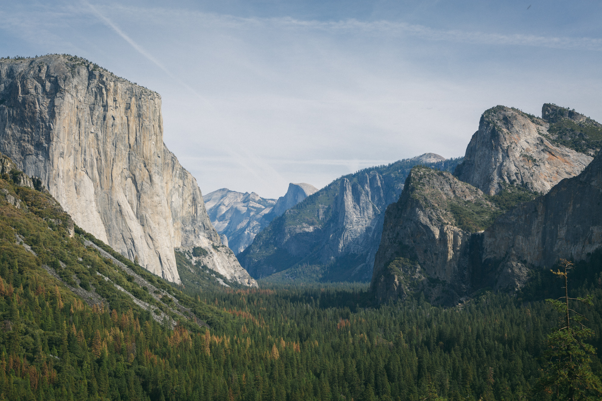 Йосемити. Йосемитская Долина. Yosemite National Park. Вид с Гризли пик США.