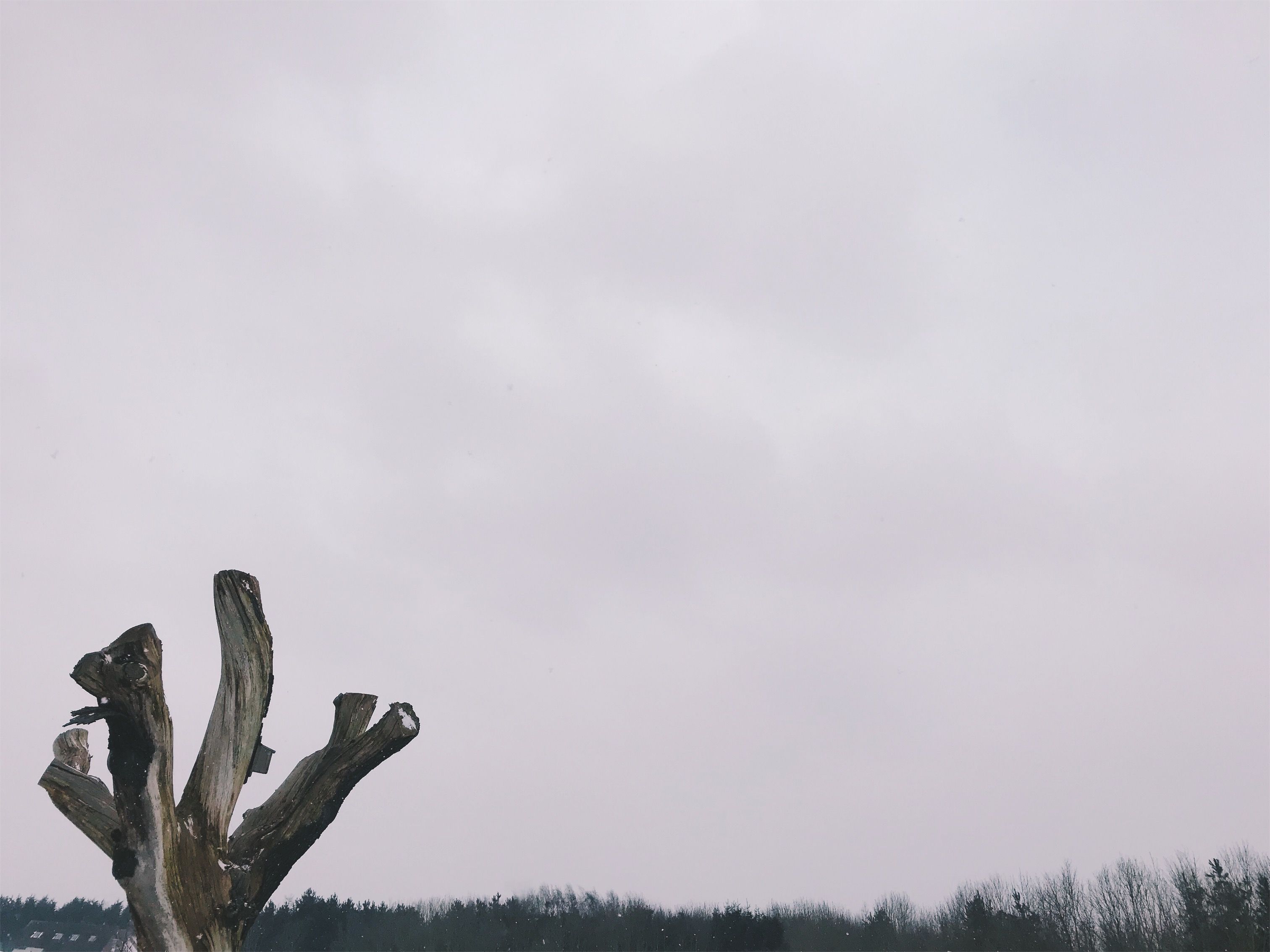 VSCO Cam-1.jpg