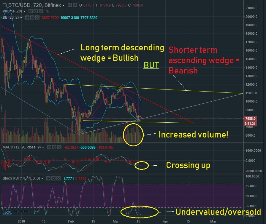 March 17 BTC T&A.jpg