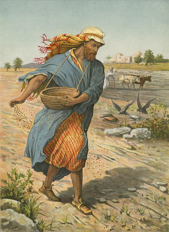 sower.jpg