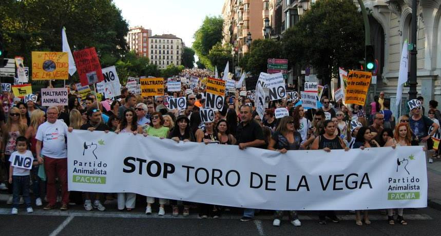 un-dia-historico-15-000-personas-contra-el-toro-de-la-vega-en-madrid.jpg