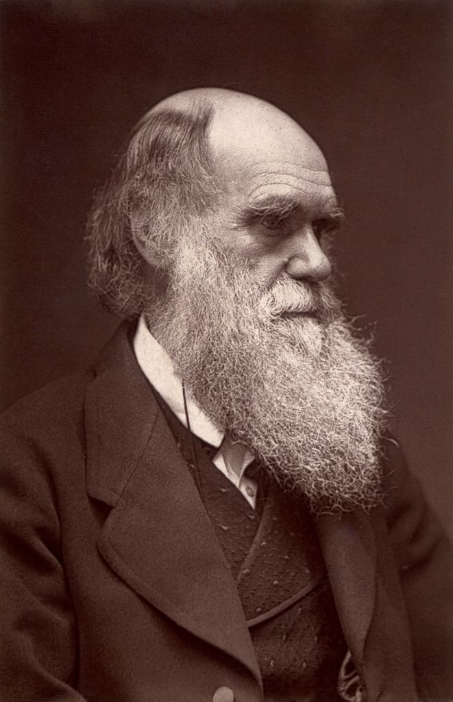 Darwin_-_John_G_Murdoch_Portrait_restored.jpg