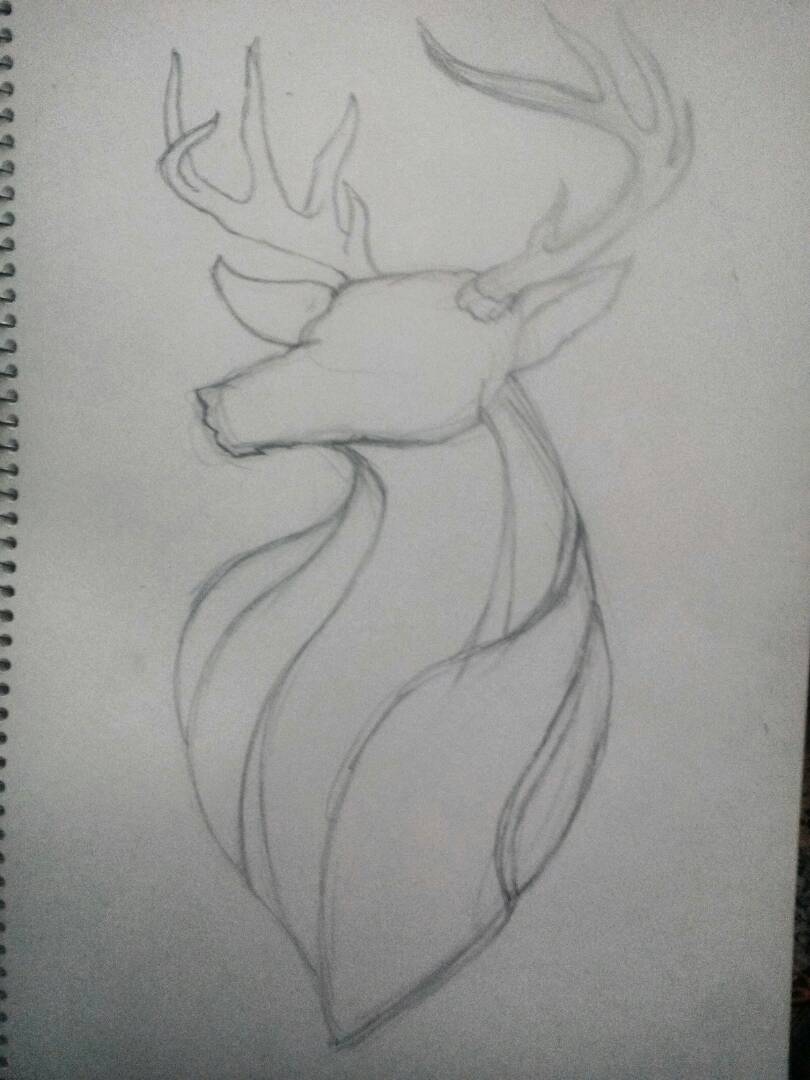 WhatsApp Image 2018-05-12 at 1.23.55 PM (1).jpeg