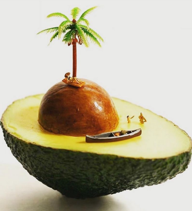 avocado_art.jpg