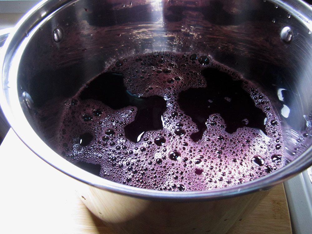 Grape Jelly 1h.jpg