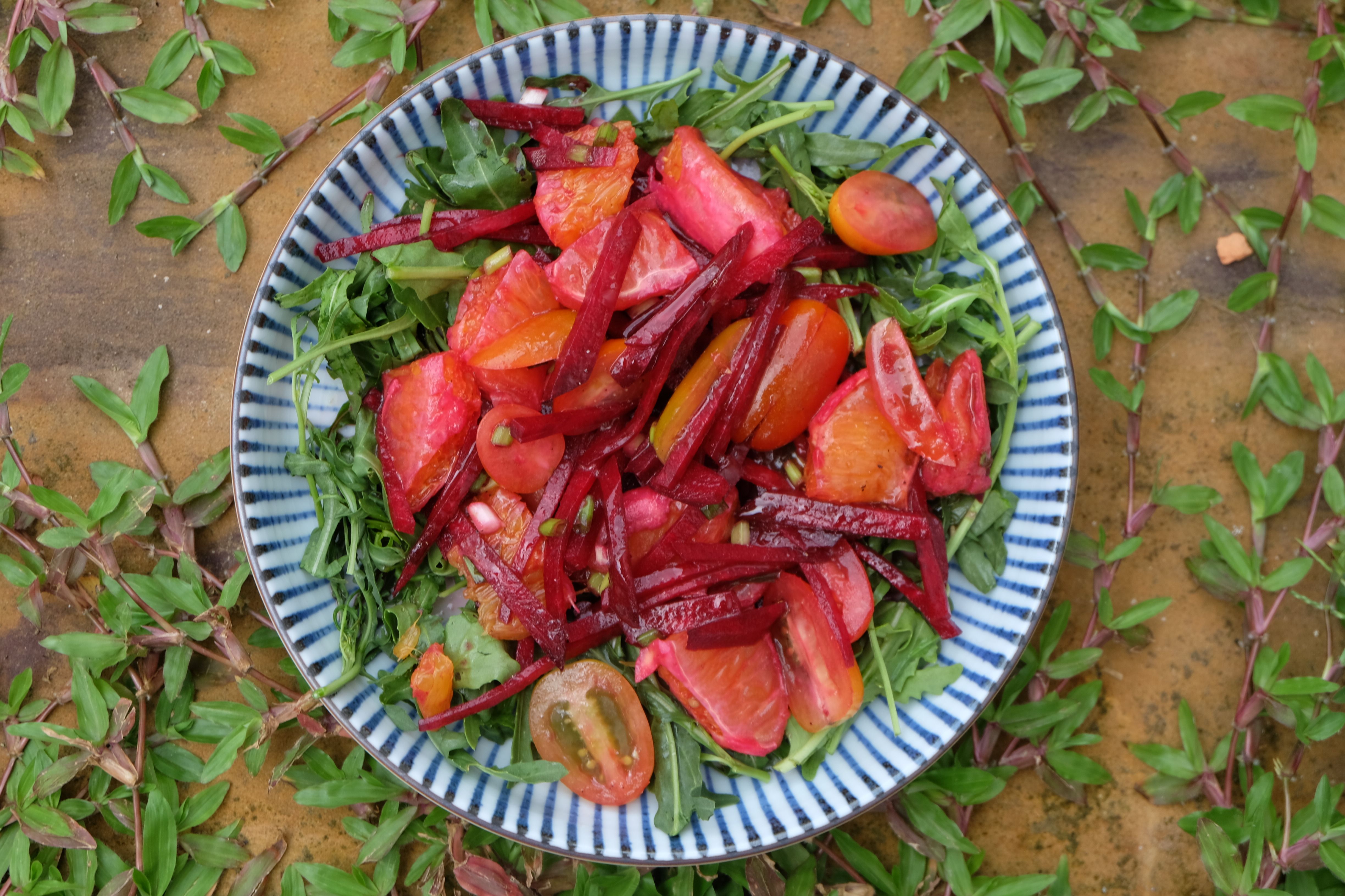 Arugula-Orange-and-Red-Beet-Salad (2).JPG