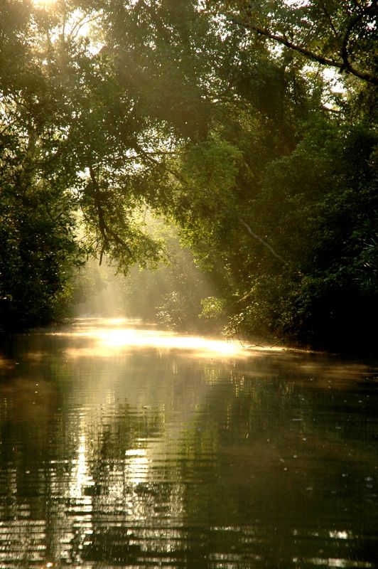 Sun_in_Sunderbans.jpg