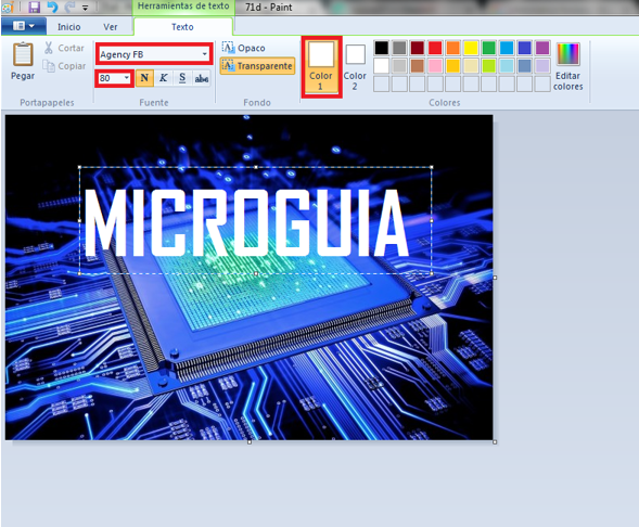 MICROGUIA 2.PNG