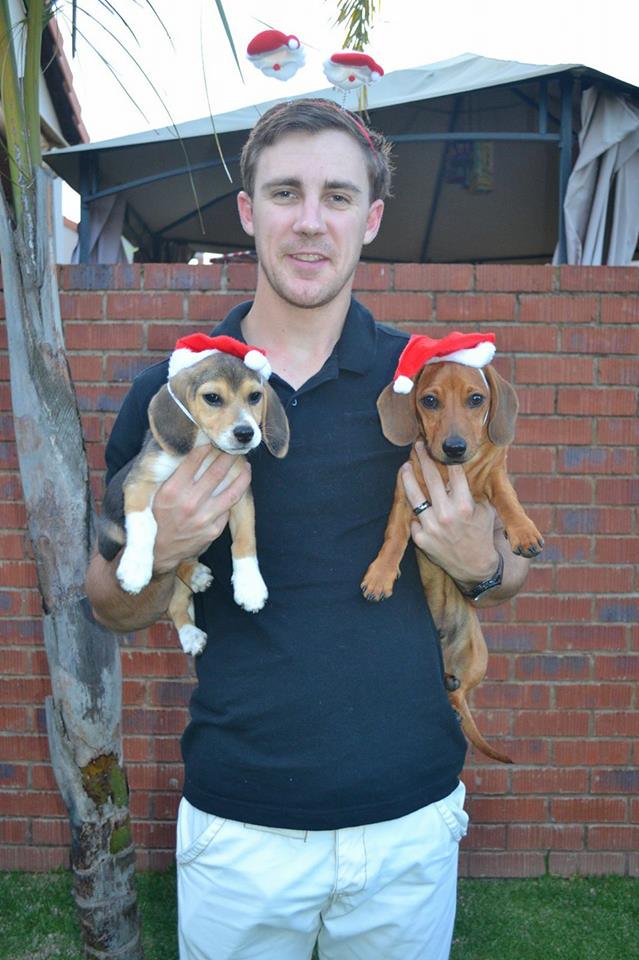 dogs.jpg