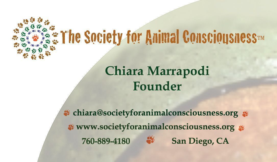 Society for animal consciousness business card.jpg