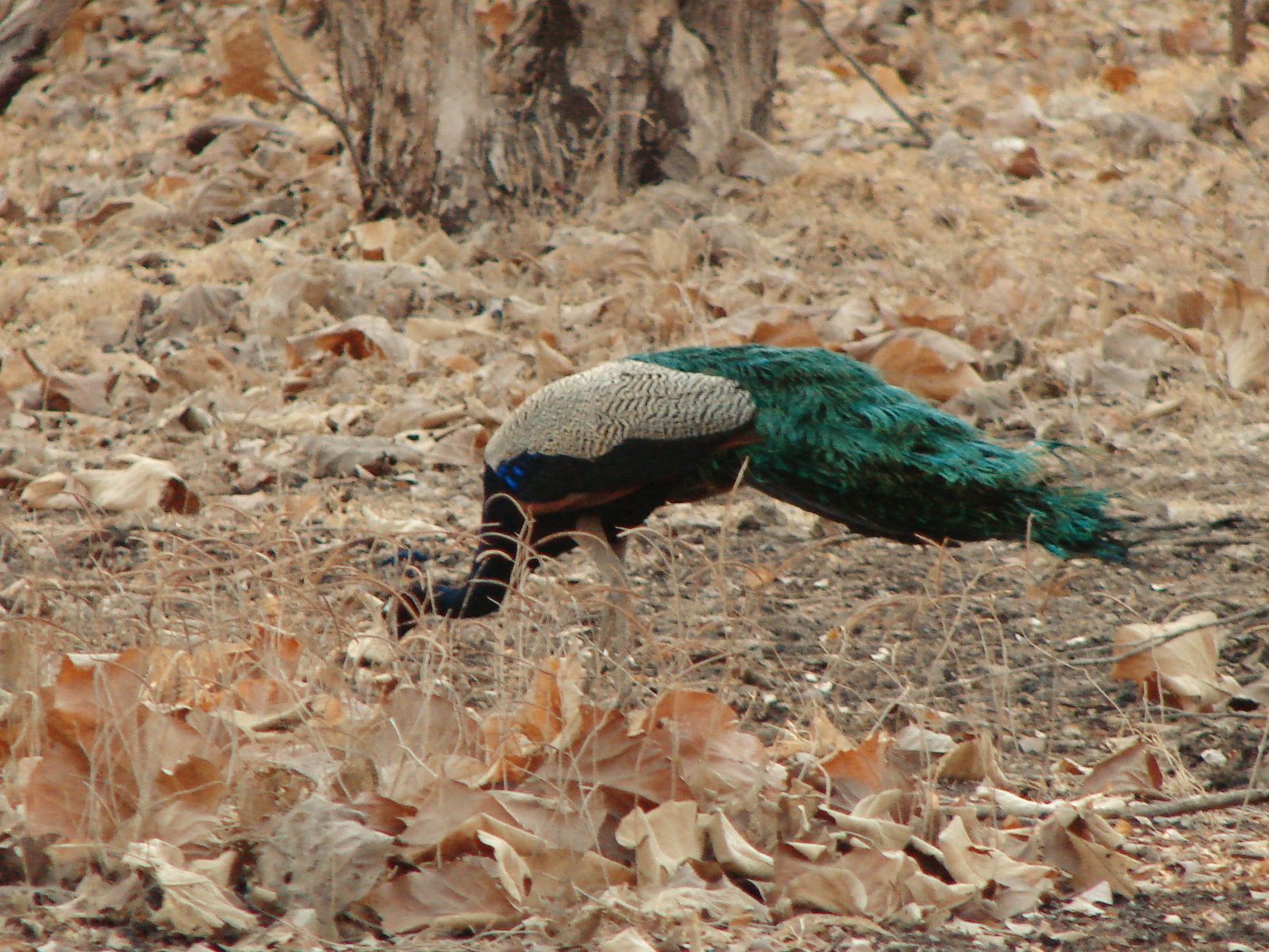 2015-06-12 01.07.47 1.jpg