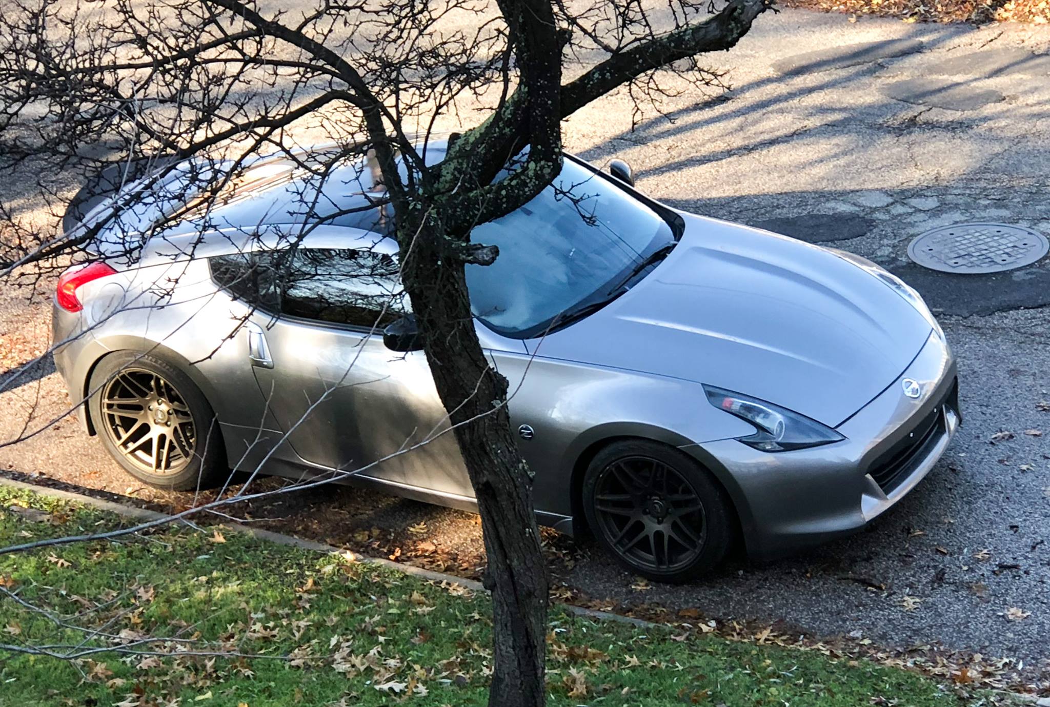 Best License Plate for Crypto Investor! — Steemit