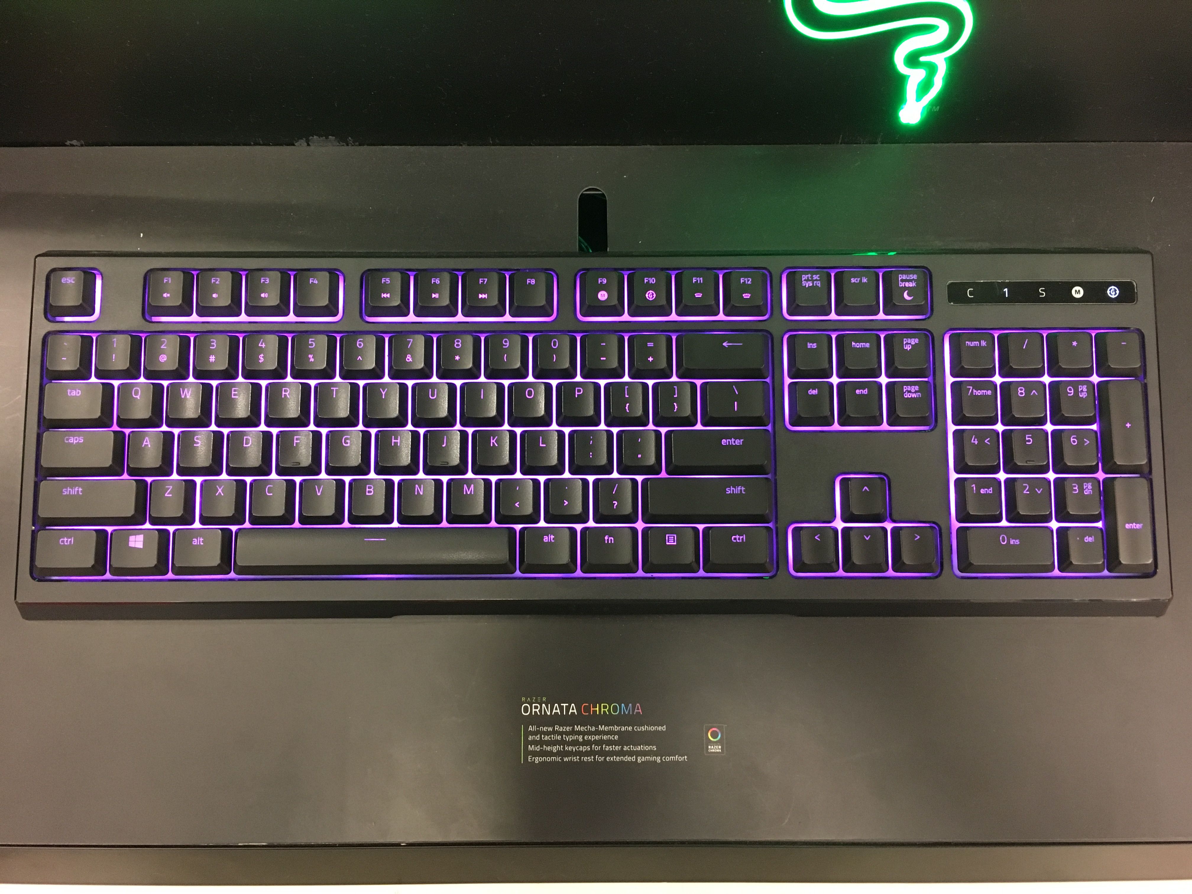 Razer_Ornata_Chroma_1_2017-03-13.jpg