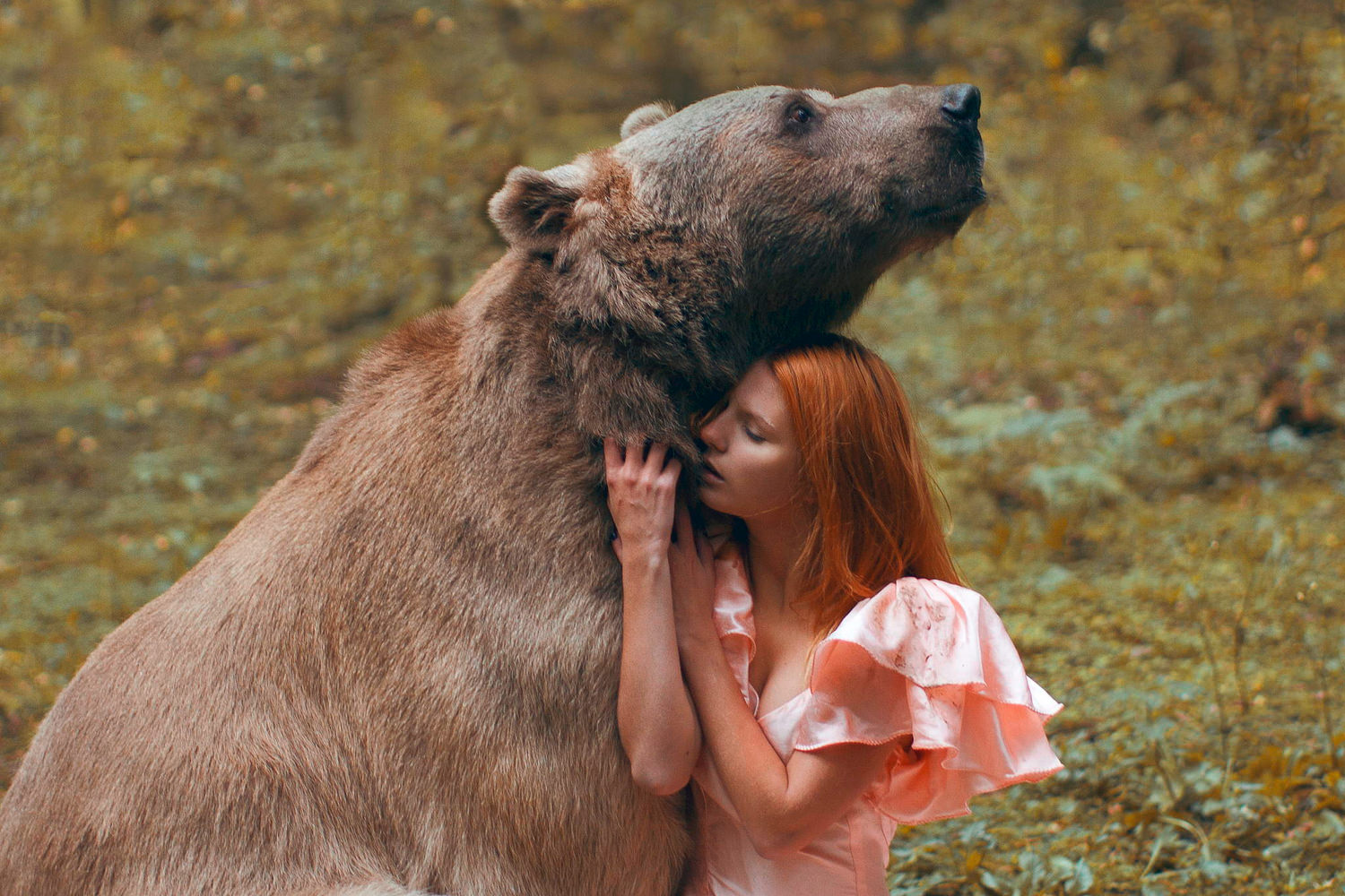 Дикие отношения. Анастасия Купер модель. Люди с дикими животными. Фотосессия с дикими животными. Медведь обнимает девушку.