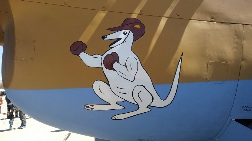 P40 warhawk nose art.jpg