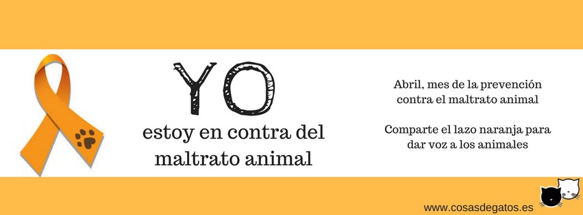 lazo-naranja-portada-facebook-maltrato-animal.jpg