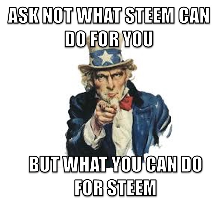 WHAT YOU CAN DO FOR STEEM.jpg