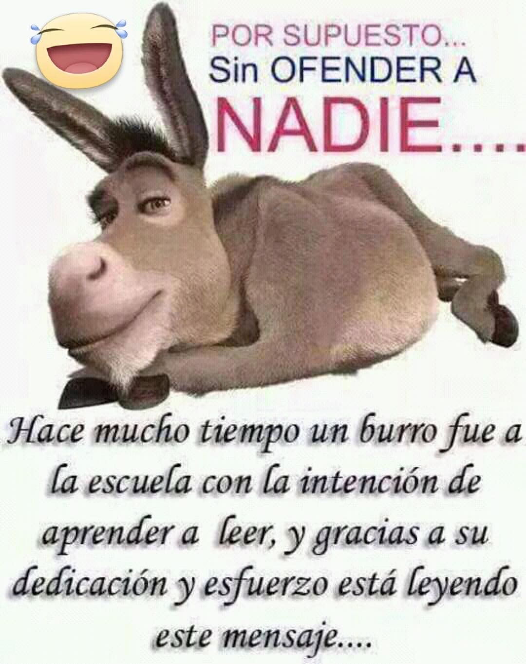 Como hacen el amor los burros