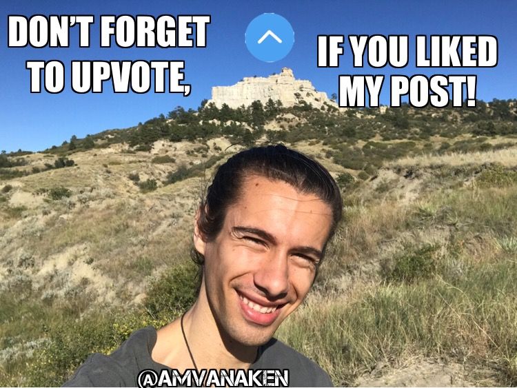 C2FF6F70-DB0D-4D7A-92A5-F4F7307035F1.jpeg