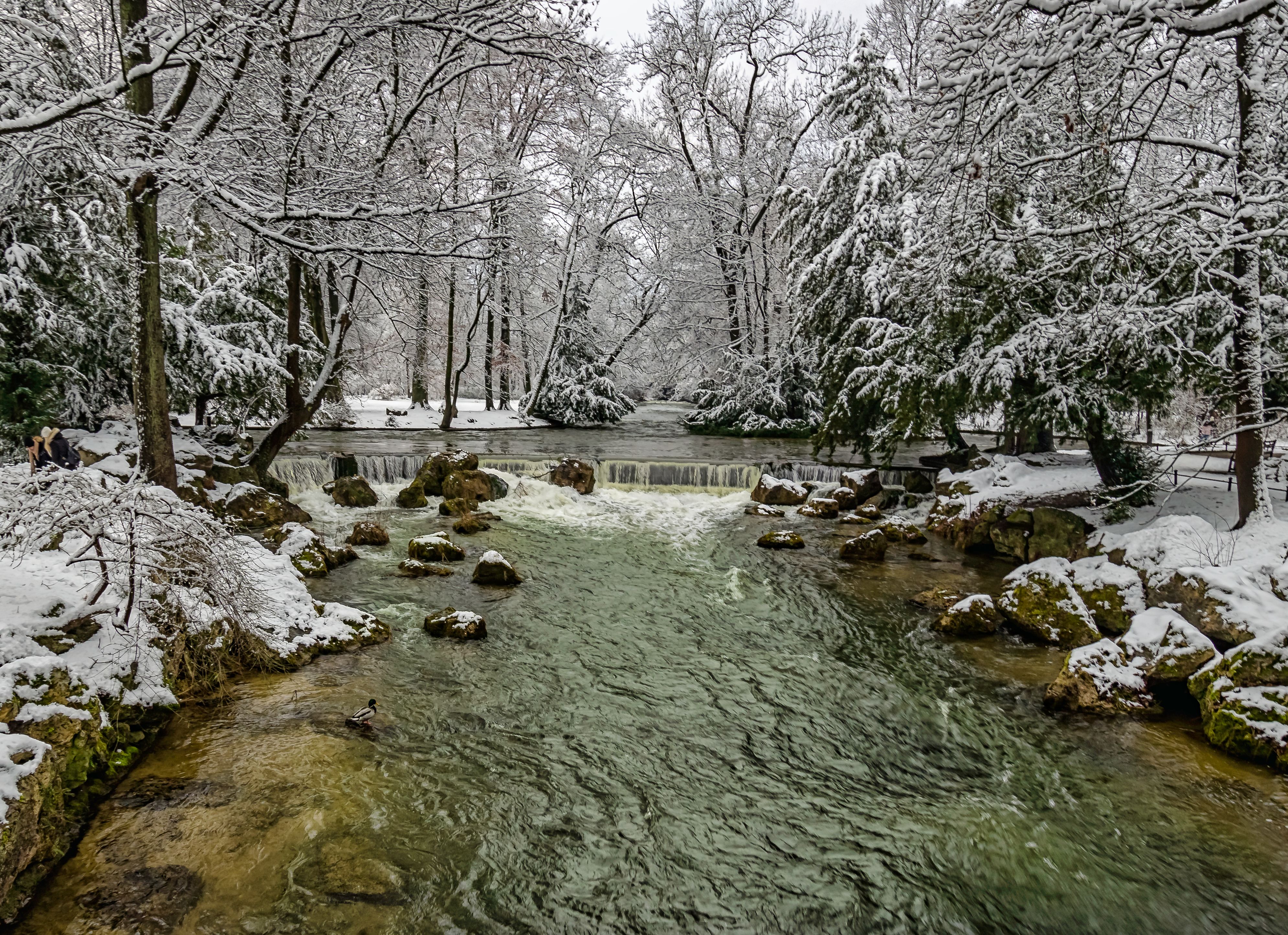 DSC01162-Bearbeitet-Bearbeitet.jpg