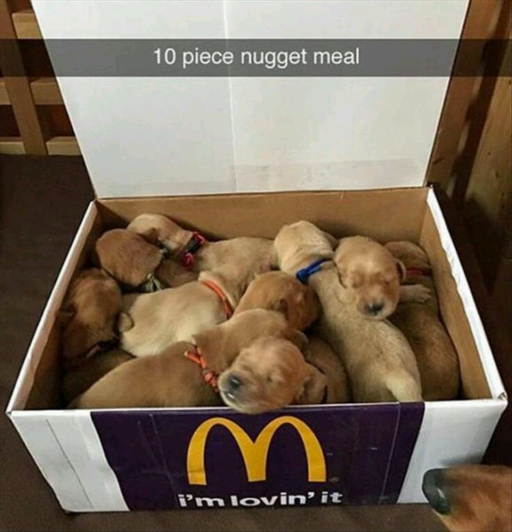 nuggets.jpg