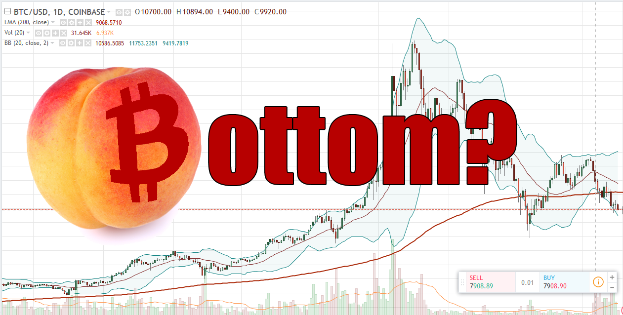 Is this the Bitcoin bottom? — Steemit