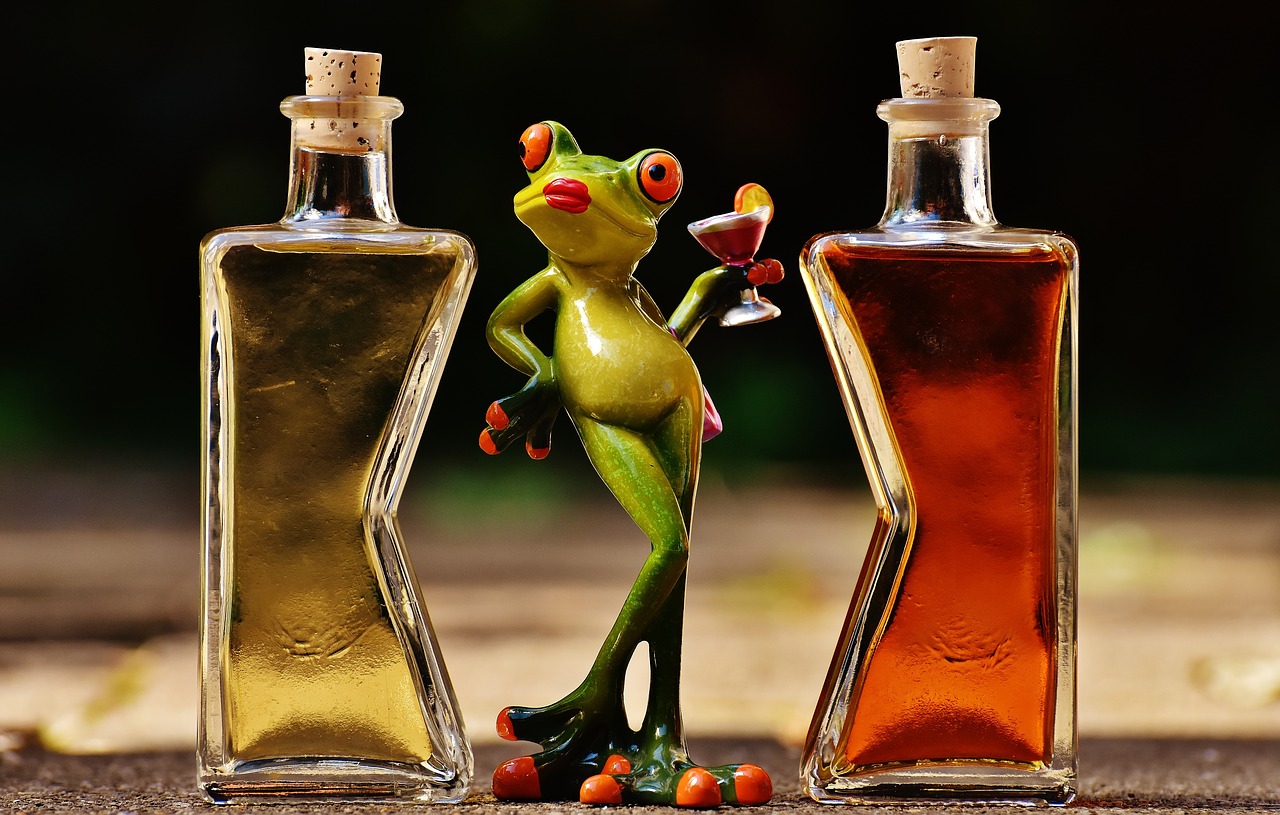 frogs-1650657_1280.jpg