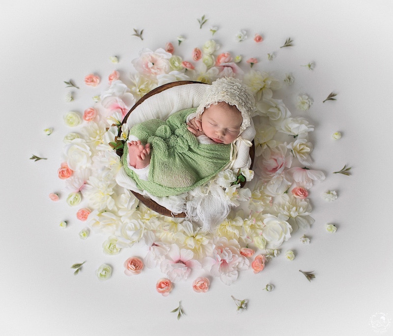 newborn-photos-nature-mandalas-4.jpg