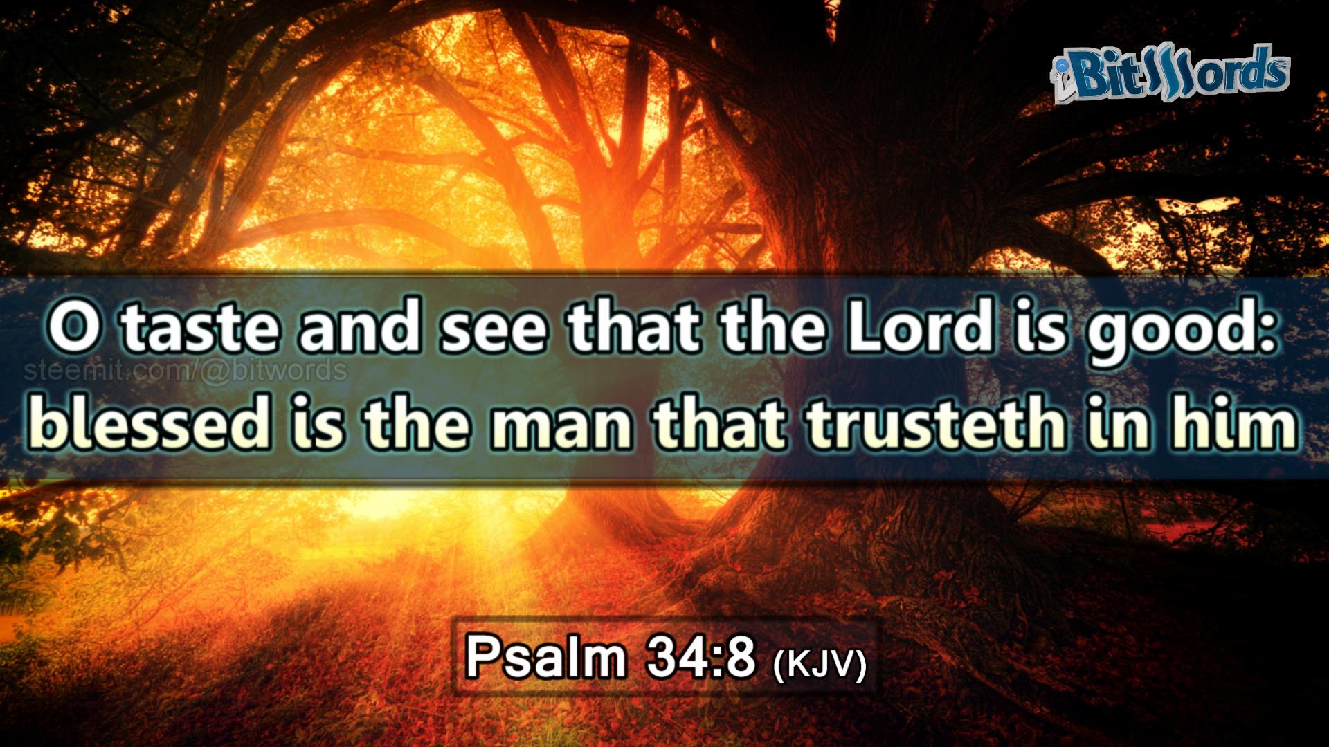 bitwords steemit bible verse of the day psalms 34 8O taste and see that the Lord is good blessed is the man that trusteth in him.jpg