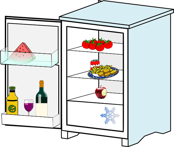 refrigerator-37099__480.png