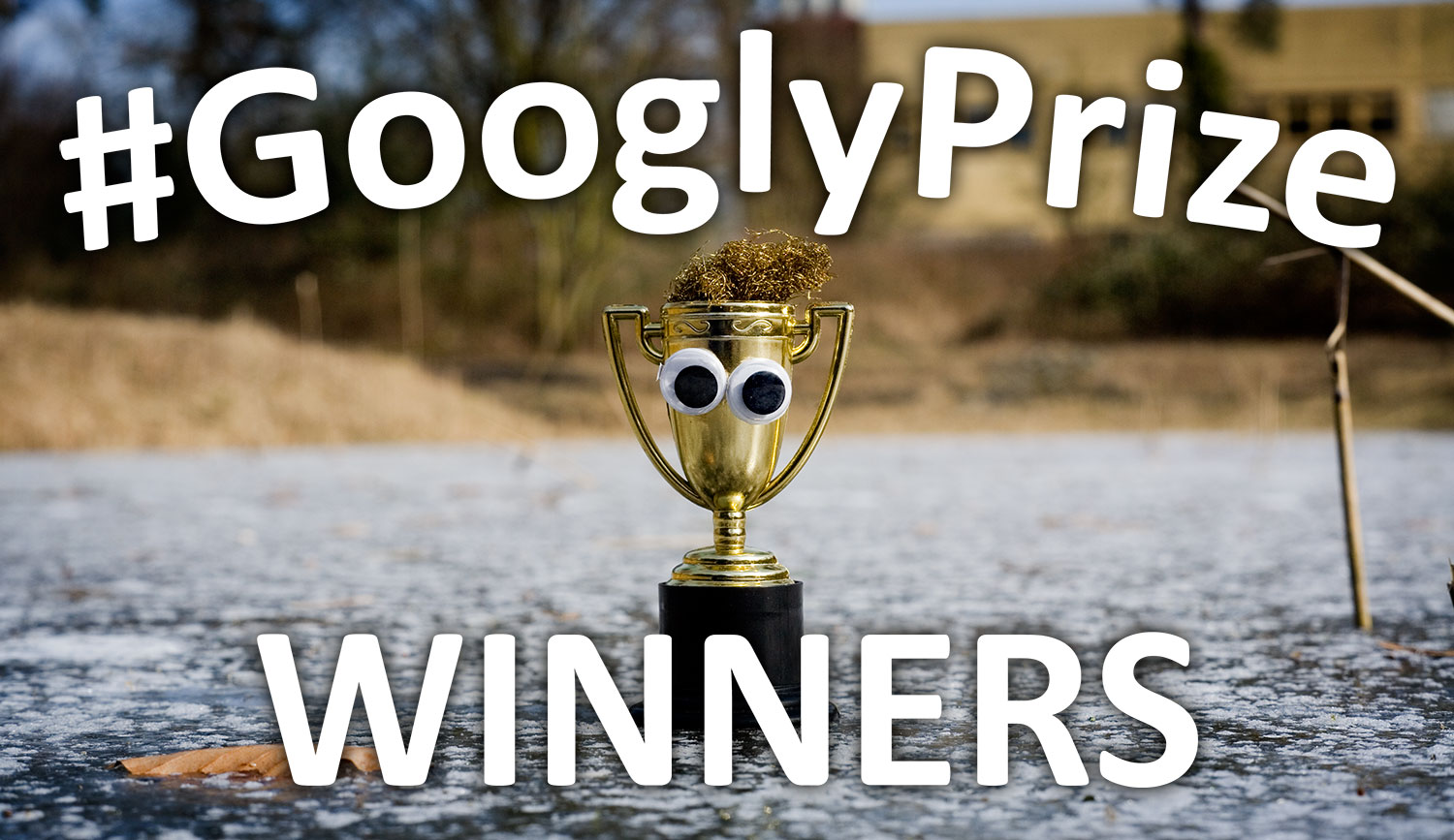 GooglyPrize Winners 33