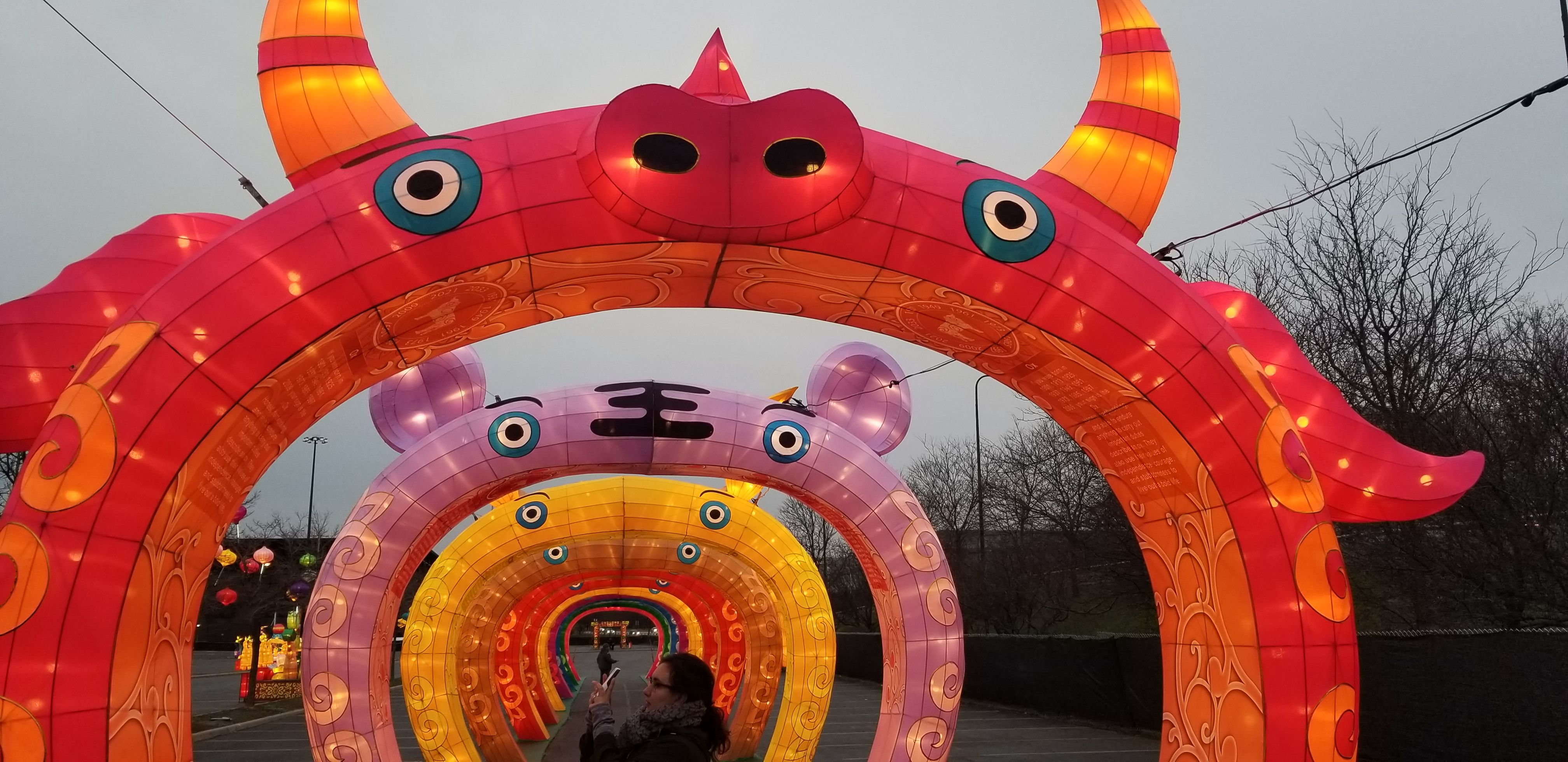 Dragon Lights Festival in Chicago — Steemit