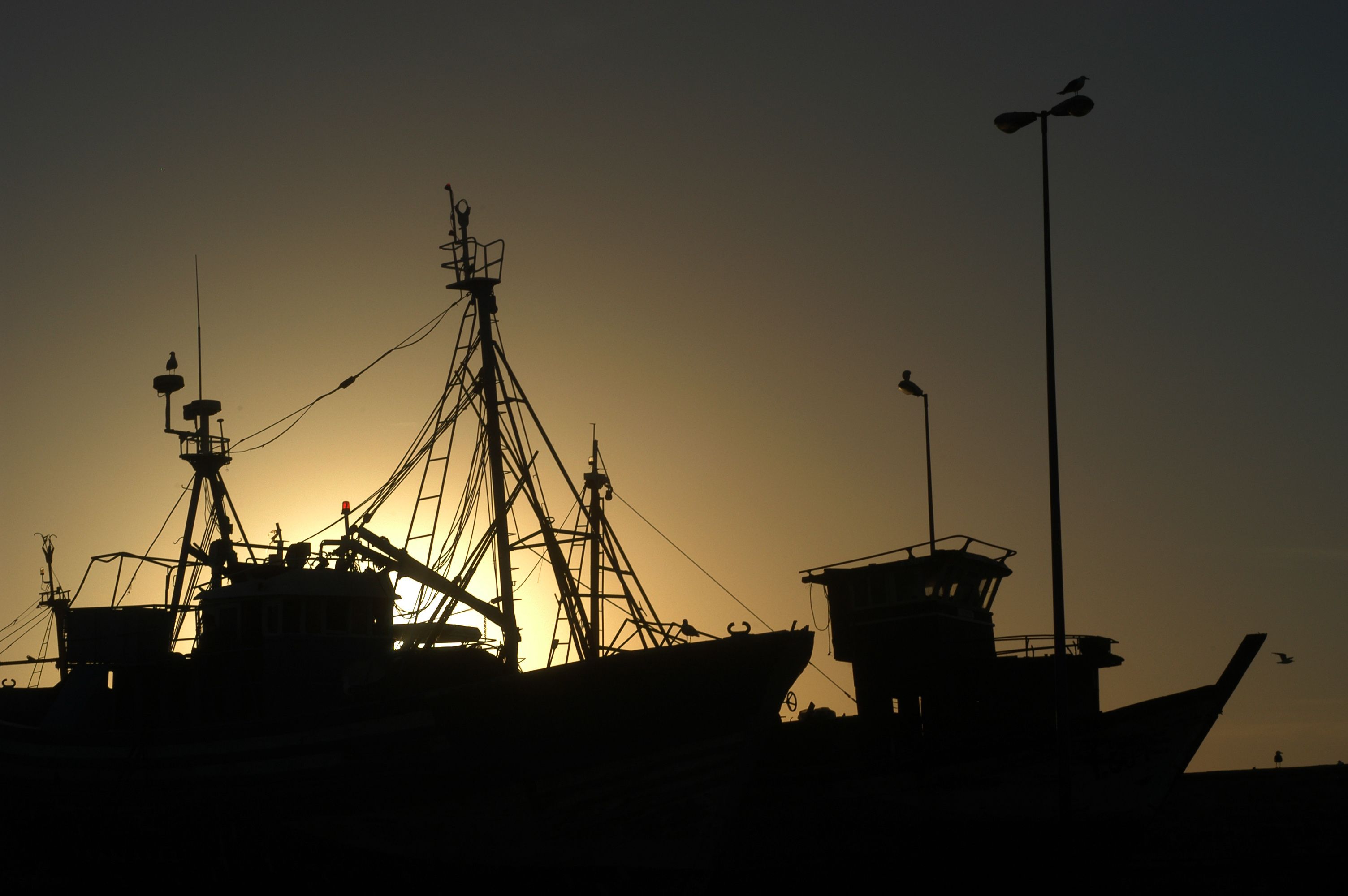 __DSC_9562_essaouira_boats.JPG